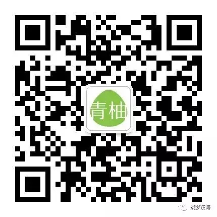 6402.webp.jpg